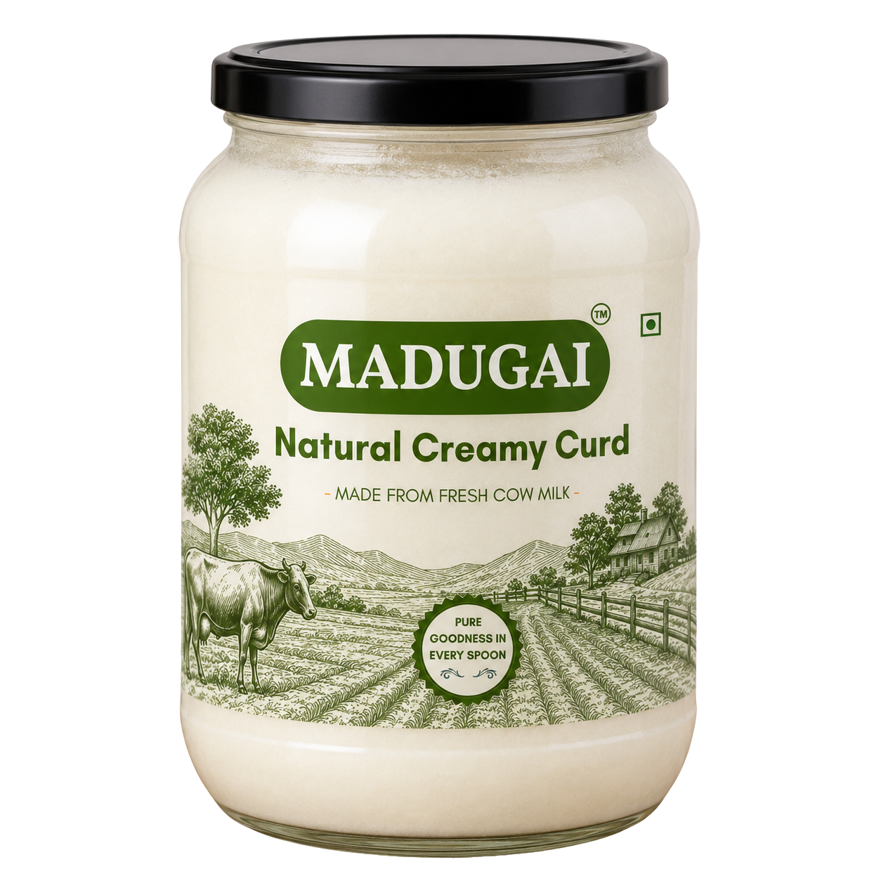 Natural Creamy Curd