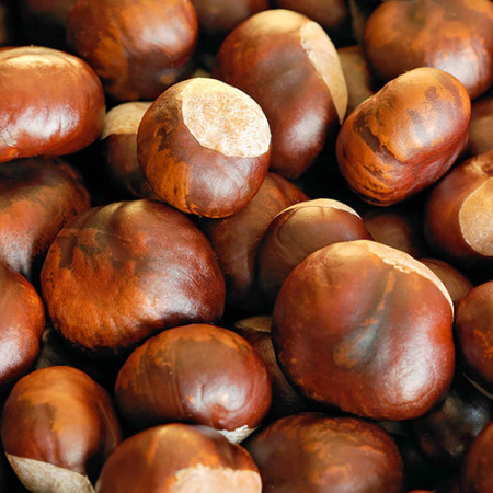 Whole Chestnuts 850g