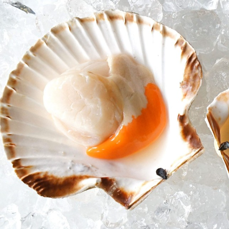 Scallops Half Shell With Roe 20/30 750g