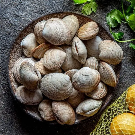 Clams Whole Shell Cooked 60/80 1Kg