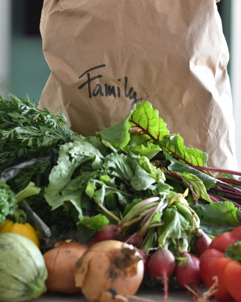 Small Organic Seasonal Veg Bag 