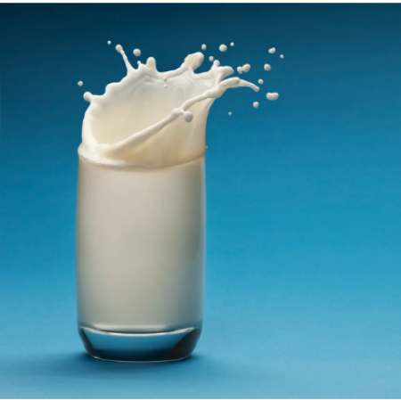 B2B-Cow milk 1Ltr