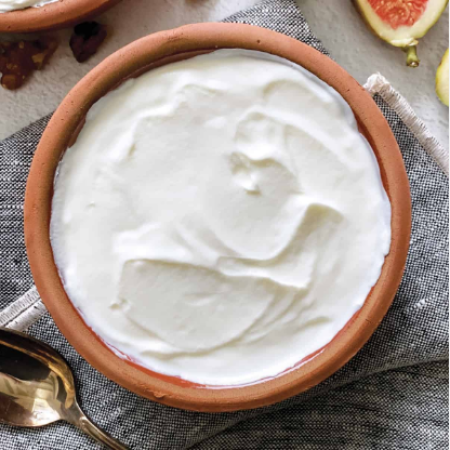 B2B-Yogurt 1Kg