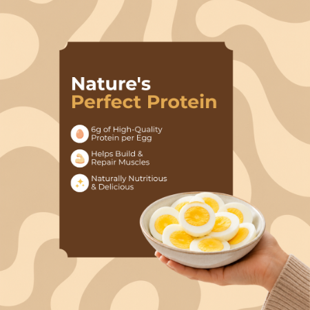White Eggs 6 Pcs 