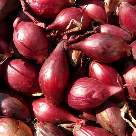 Shallots 500g