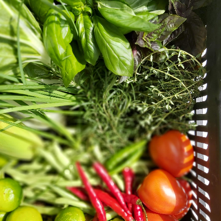Farm basket
