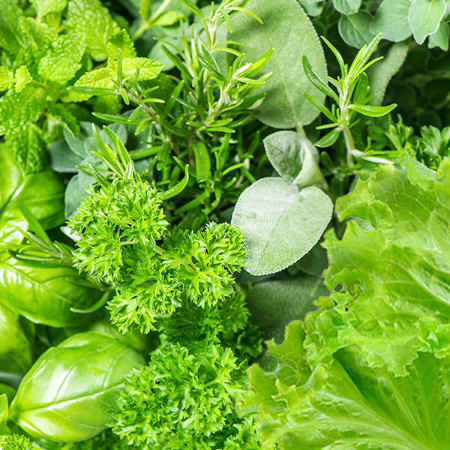 Herbs & Greens