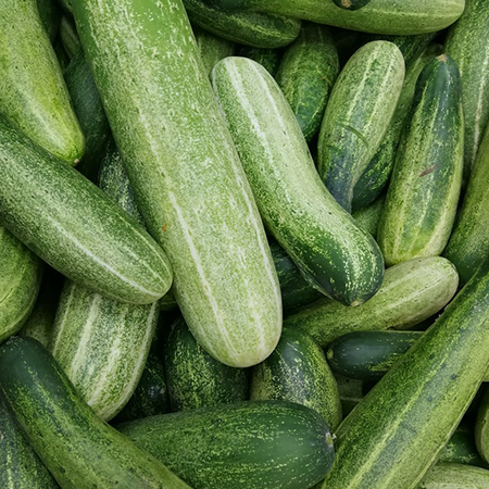 Cucumber (500g)