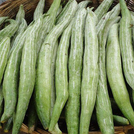 Snake Gourd(500g)