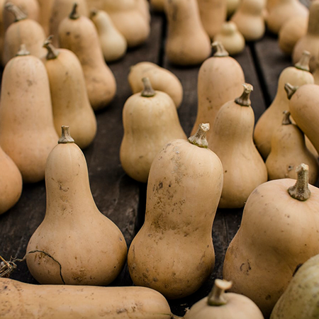 Butternut Squash 1kg