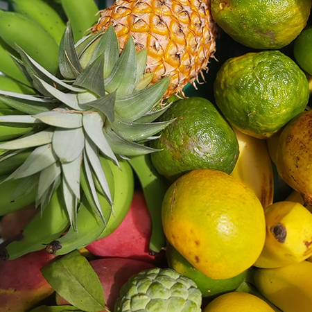 Fruits