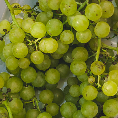 Grapes - White Seedless (500g)