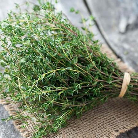 Thyme(1 Pack)