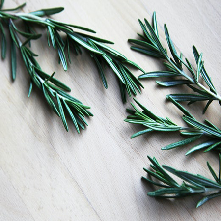 Rosemary(1 pack)