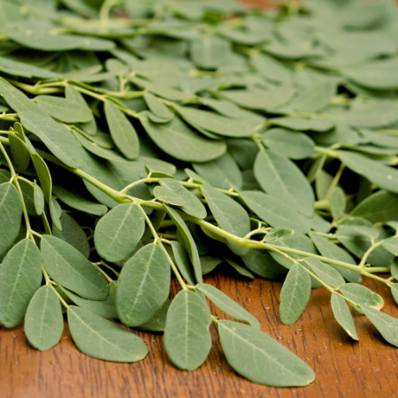 Moringa Leaves (Pack)