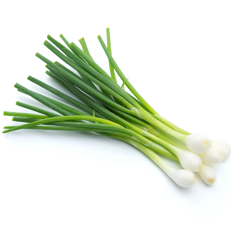 Spring Onion (pack)