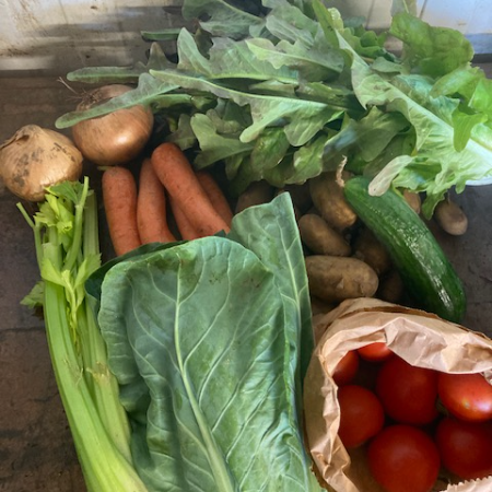 Small Organic Seasonal Veg Bag 