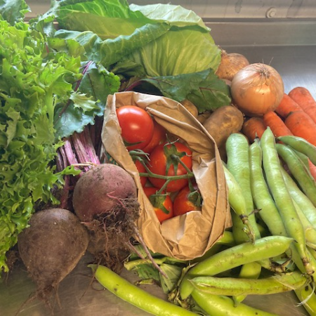 Purton House Organic Veg Bags