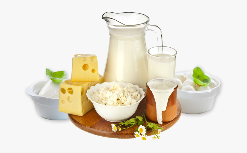 Dairy Products