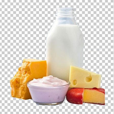 MILK PRODUCTS