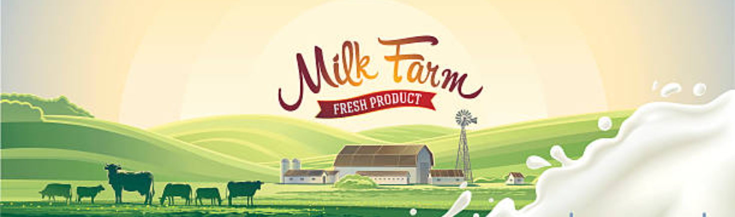 Home Promotion Banner