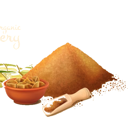 ORGANIC JAGGERY
