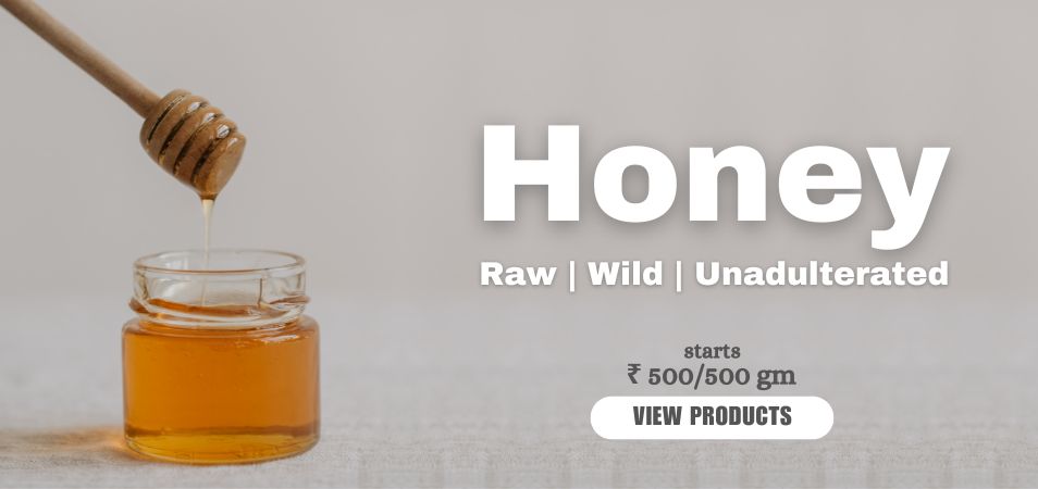 Honey Search