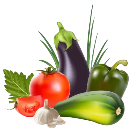 Fresh Vegetables