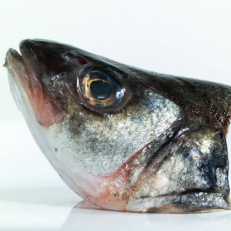 Fish Heads