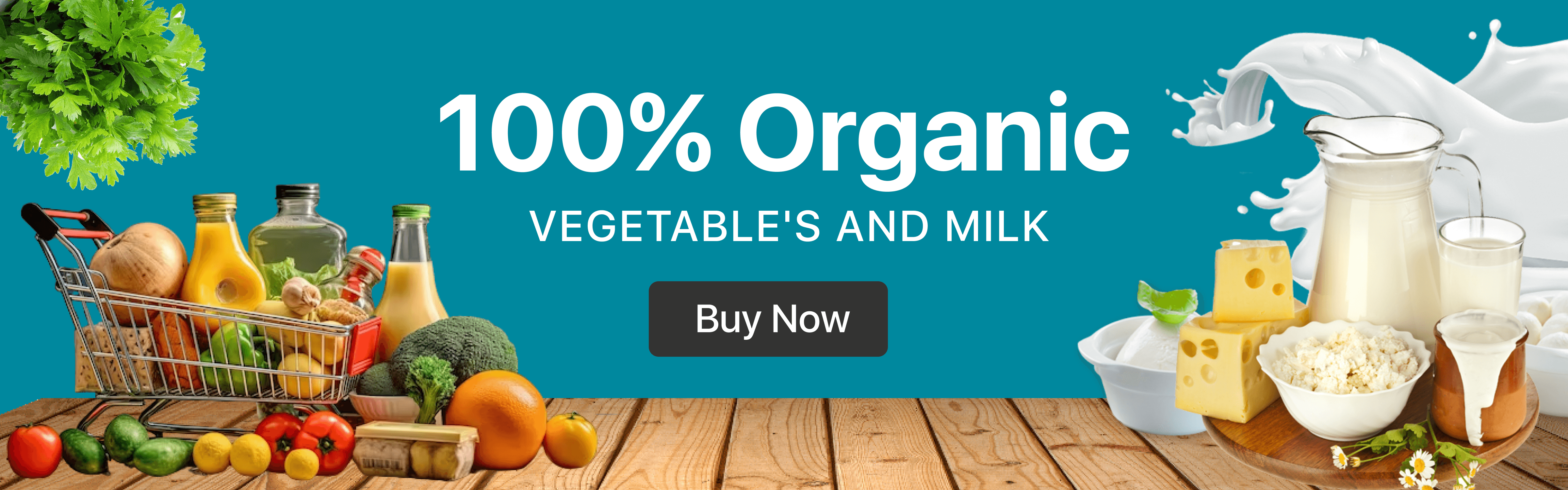 Home Promotion Banner