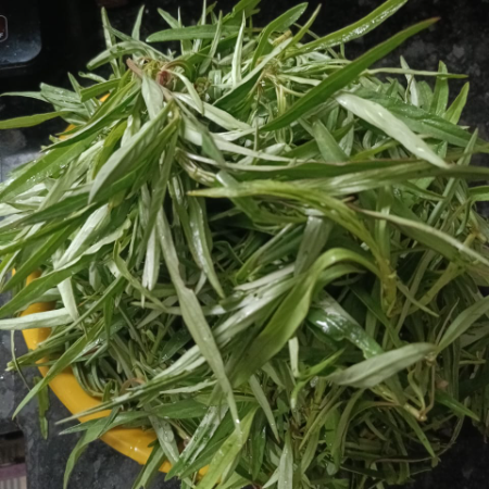 Leafy Vegetables
