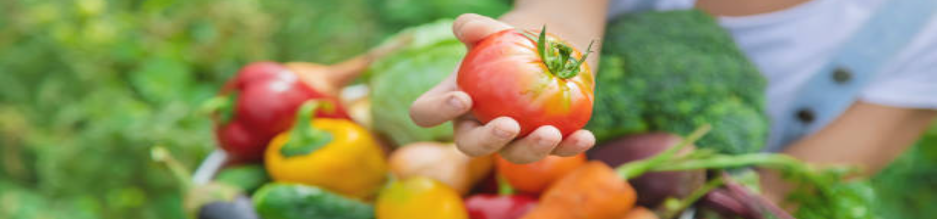 Nutrition
