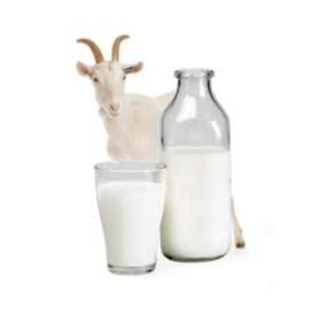 Goat Milk
