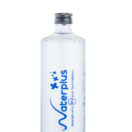 Glass Bottle H2UWater Plus pH 8+ 500ml