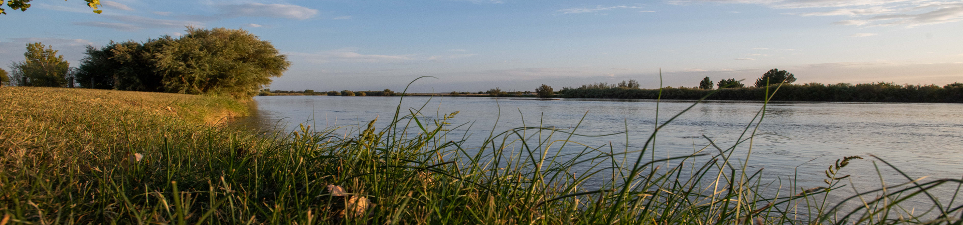 Home Promotion Banner