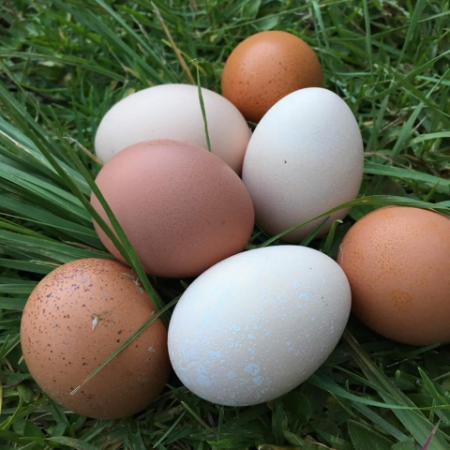Free-Range Farm Eggs