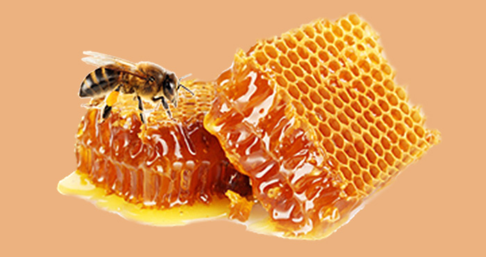 The Honey Hub