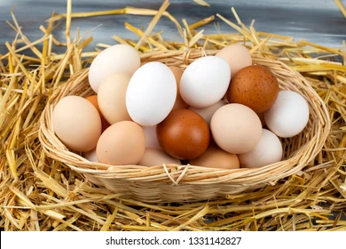 Fresh Eggs