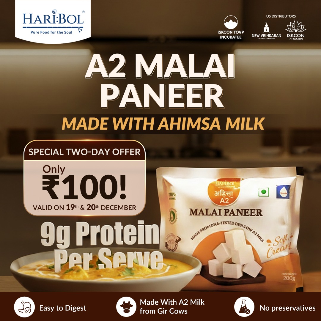 Paneer only for Rs 100
