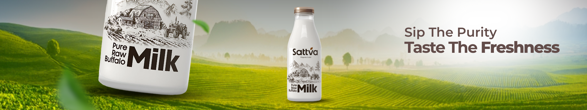 Home Promotion Banner