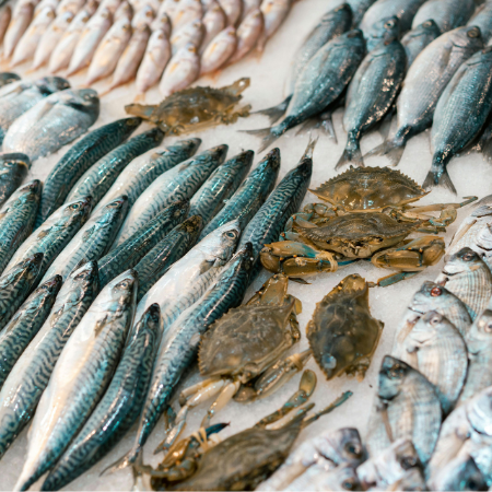 Fish & Seafood