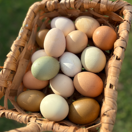 Pasture Raised Eggs